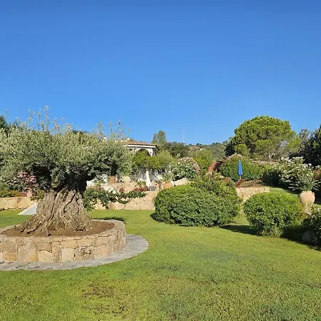 Con Piscina Luna Rossa Villa