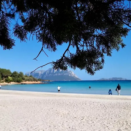Villa Con Piscina Luna Rossa San Teodoro (Sardinia)
