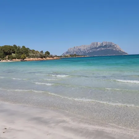 Luna Rossa Con Piscina * San Teodoro (Sardinia)