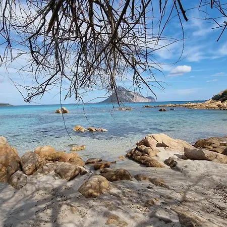 Villa Luna Rossa Con Piscina San Teodoro (Sardinia)
